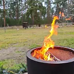 Tiny House Am Waldrand Ferienhaus