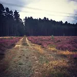 Tiny House Am Waldrand Ferienhaus *