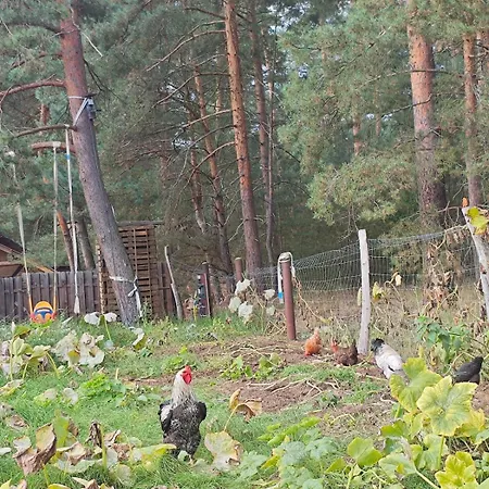 Tiny House Am Waldrand *