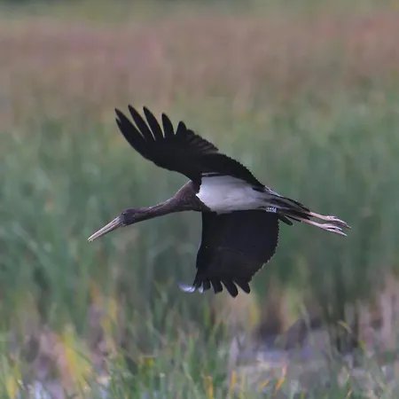 بيت للعطل Tiny House Am Waldrand *