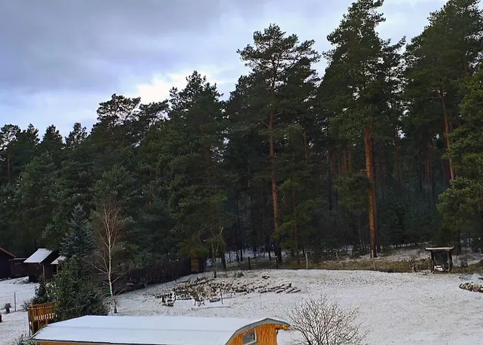 Tiny House Am Waldrand