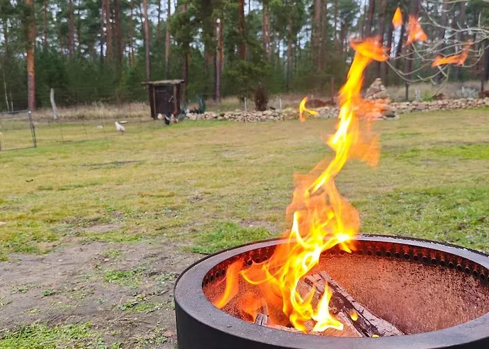 Tiny House Am Waldrand Holiday home