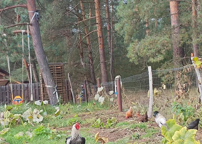 Tiny House Am Waldrand *