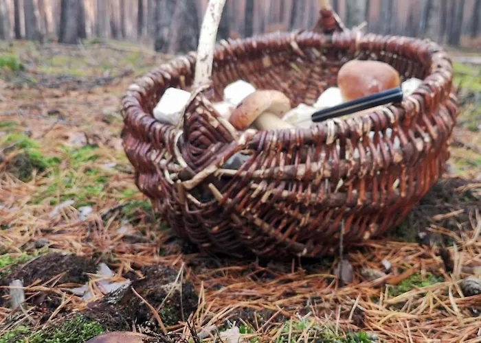 بيت للعطل Tiny House Am Waldrand Heideblick