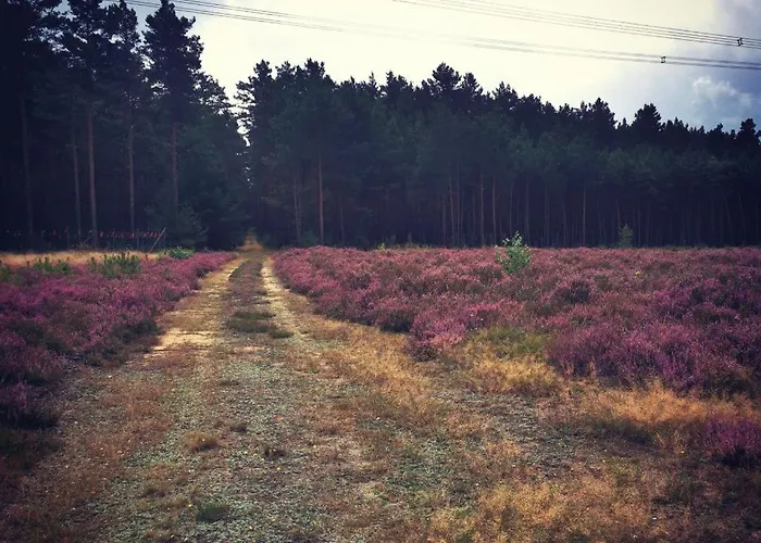 Tiny House Am Waldrand Holiday home *