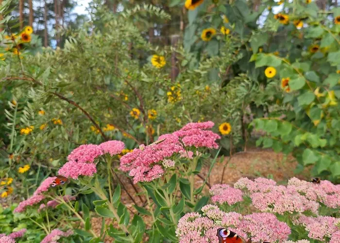 بيت للعطل Tiny House Am Waldrand Heideblick