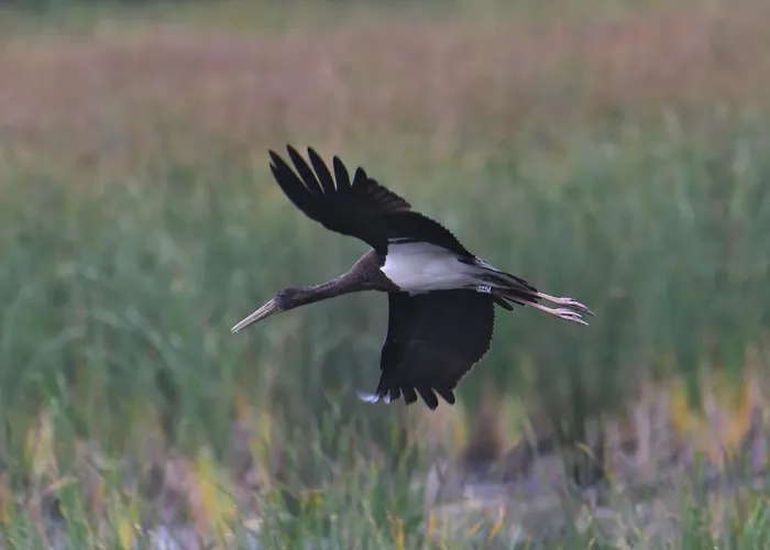Holiday home Tiny House Am Waldrand *